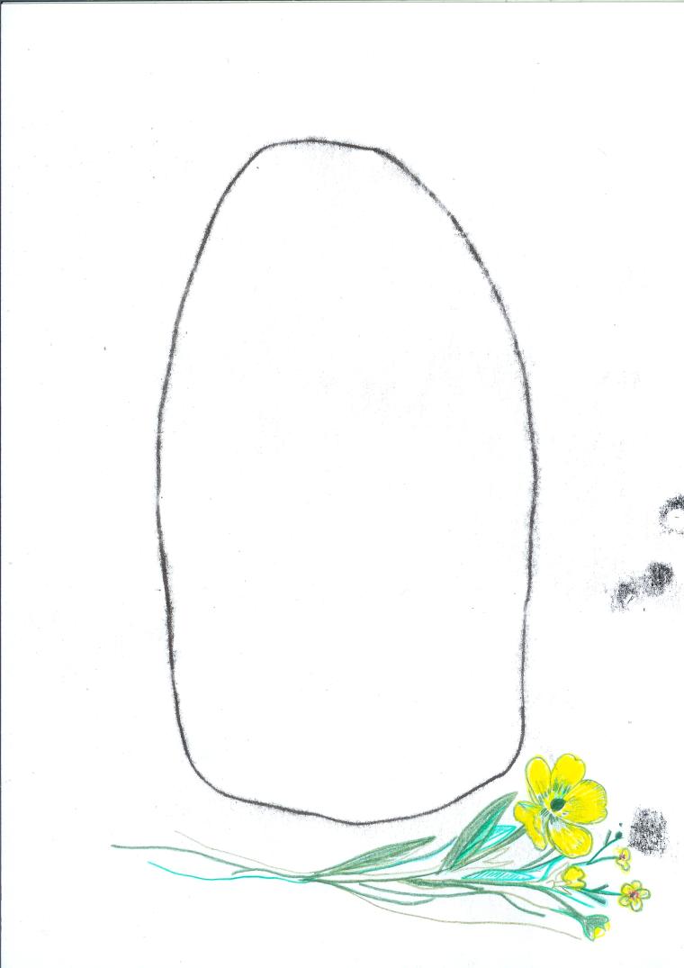 balise et renoncules (small)
